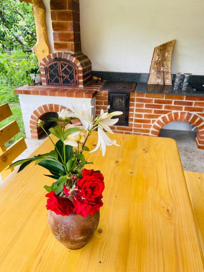 Casa De Vacanta Motata Novaci-Străini 외부 사진